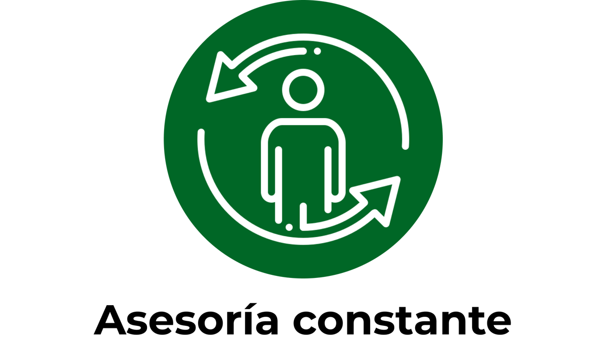 Asesoría constante