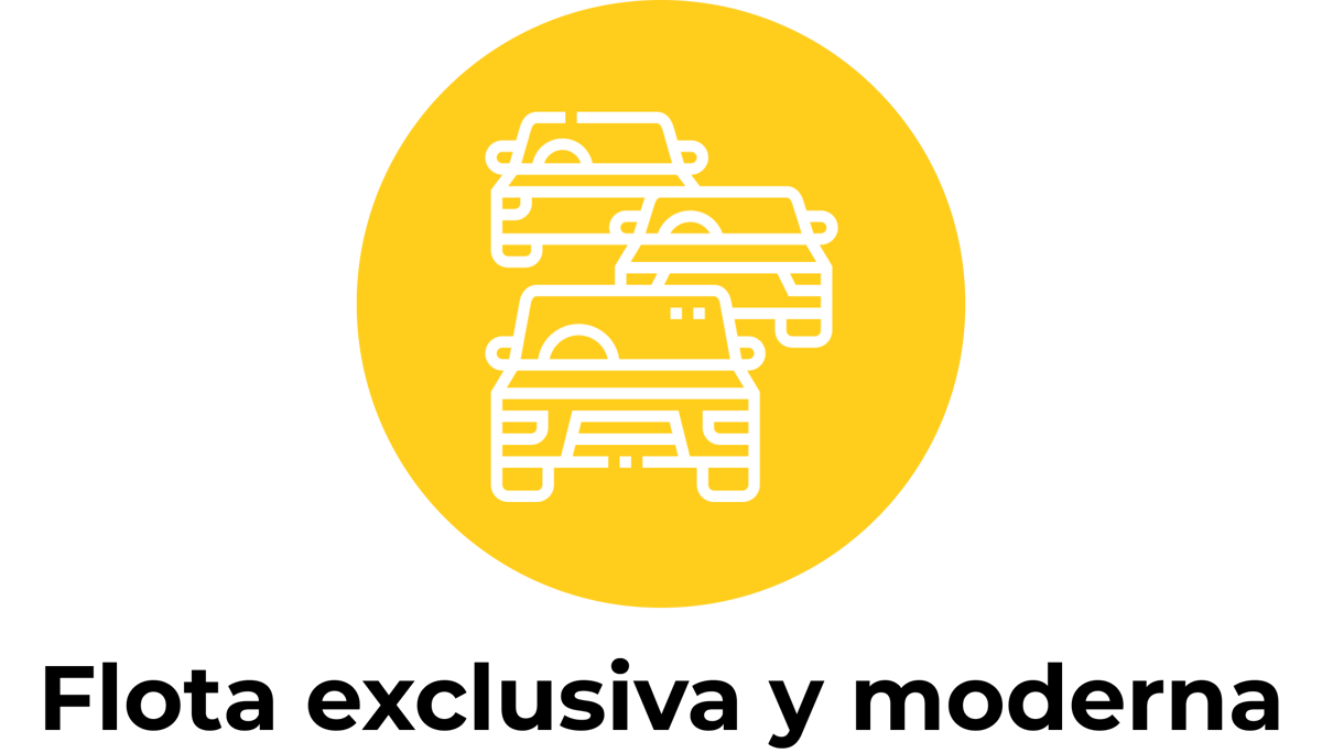 Flota exclusiva y moderna