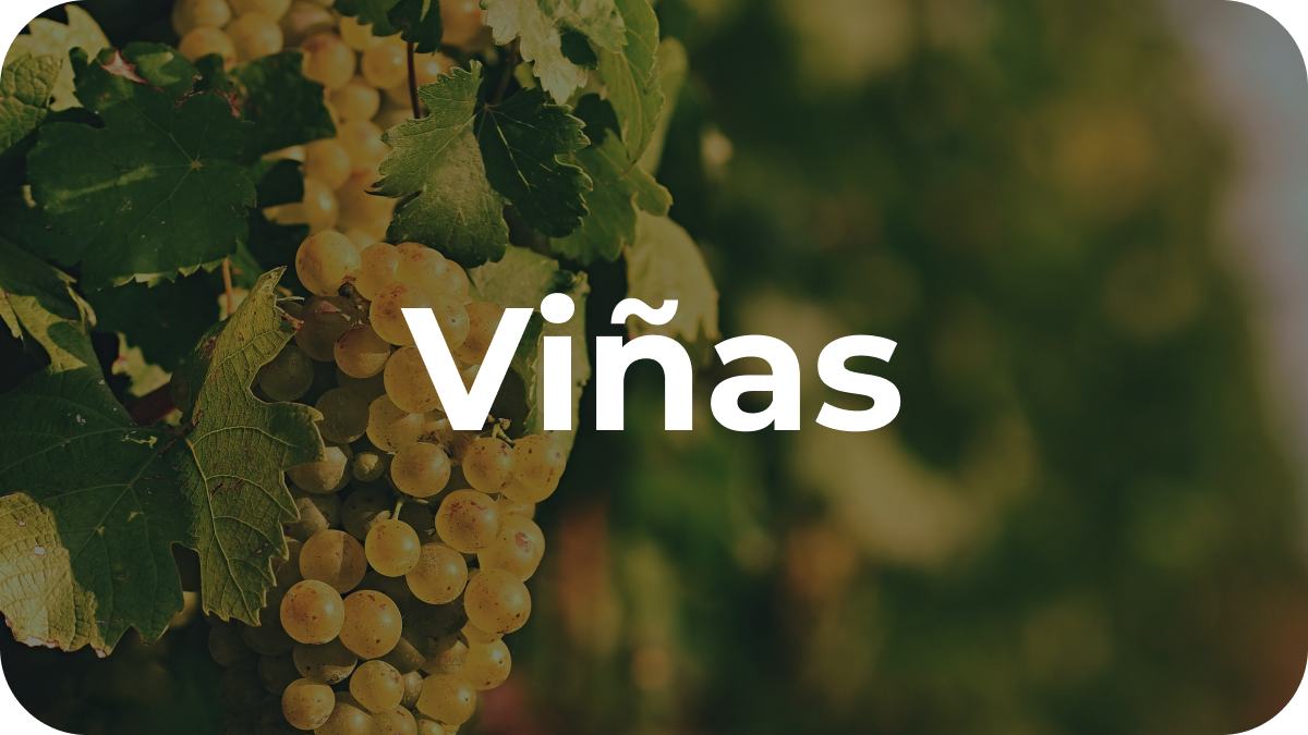 Viñas