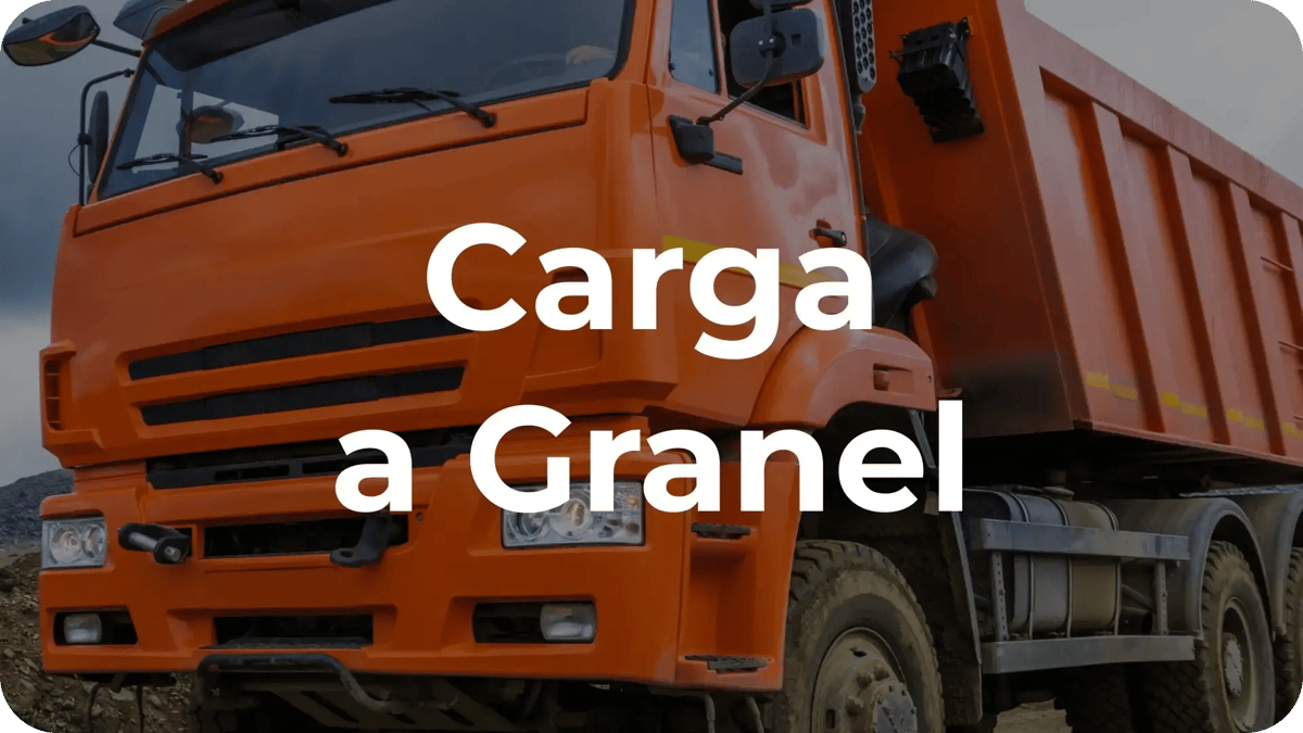 Carga a Granel