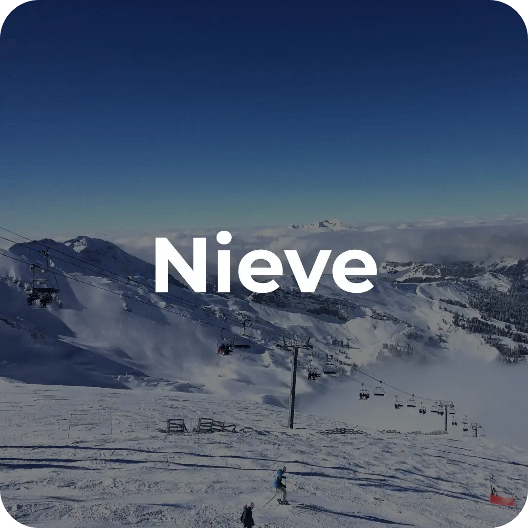 Nieve