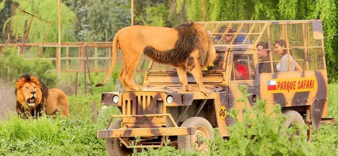 Parque Safari